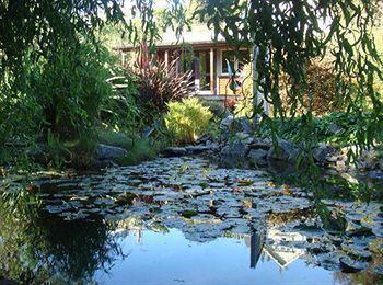 Joya Garden &